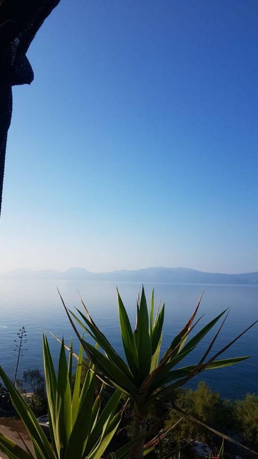 Apartment Franic Sućuraj Εξωτερικό φωτογραφία